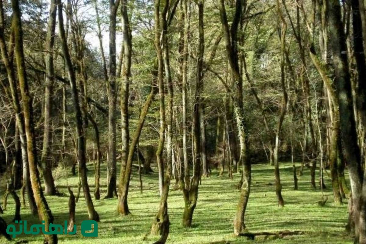 بهترین مکان‌های اراک برای چادر زدن
