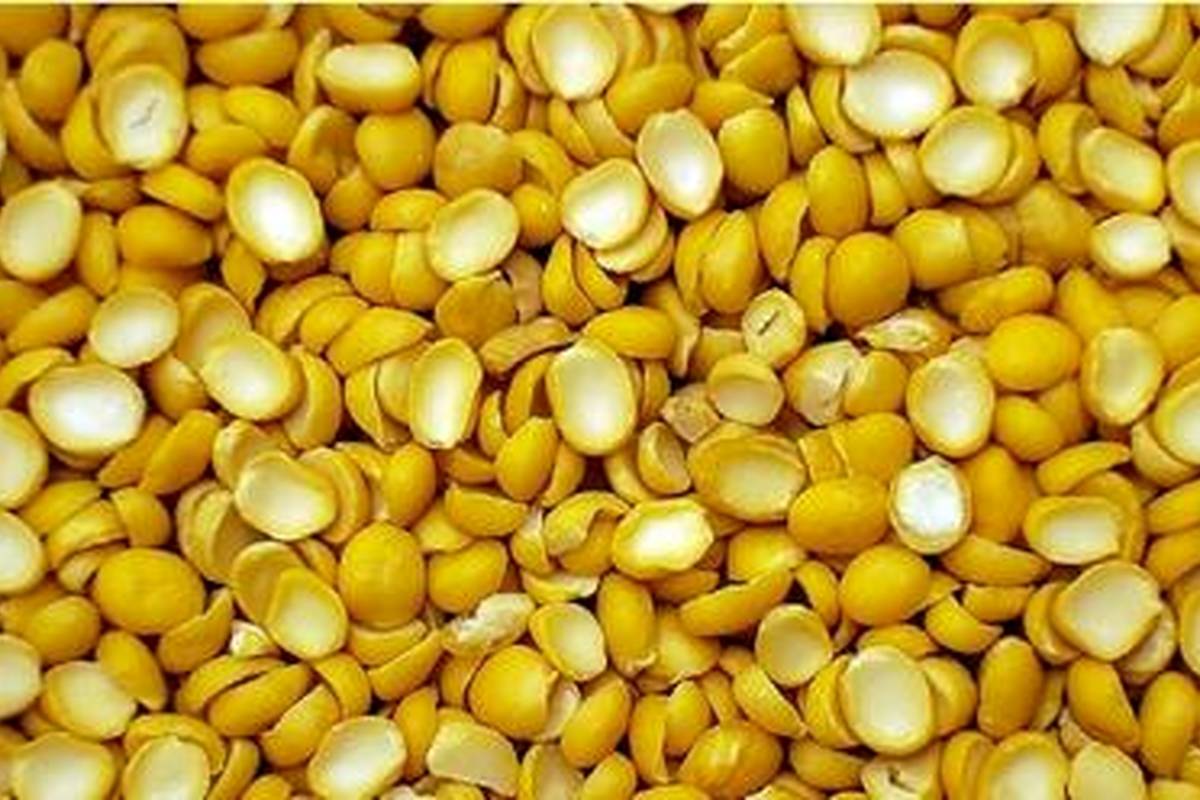 خواص لپه چیست؟ لپه بخورید و از فواید عالی آن بهره ببرید!
