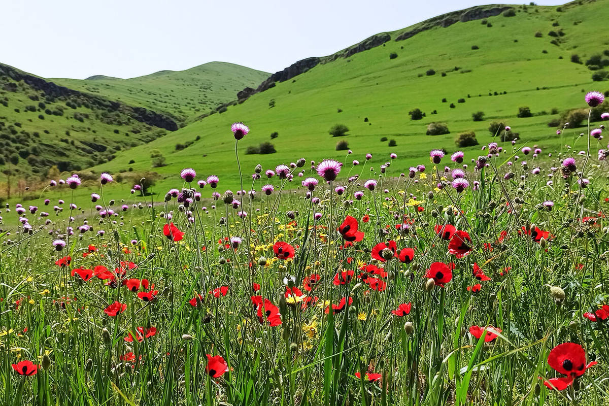 راهنمای سفر: سفر به دل طبیعت در خنداب