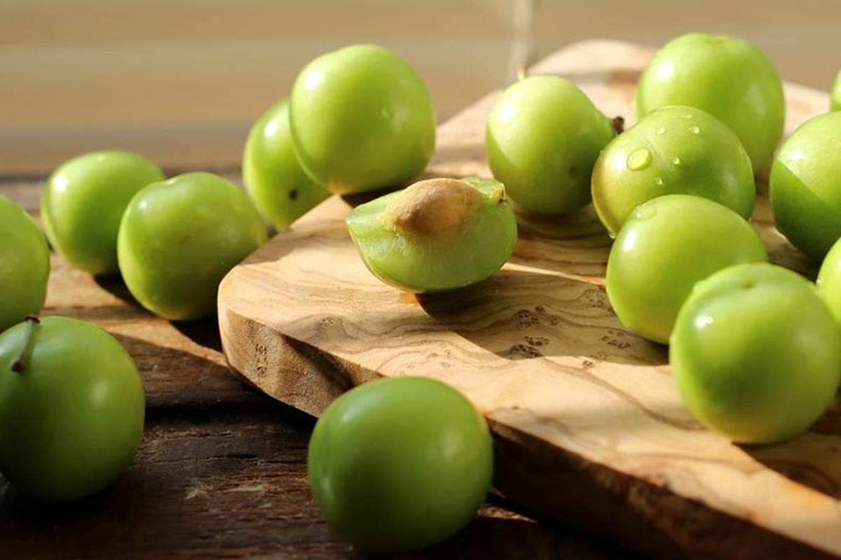 ساده ترین روش خشک کردن گوجه سبز در خانه