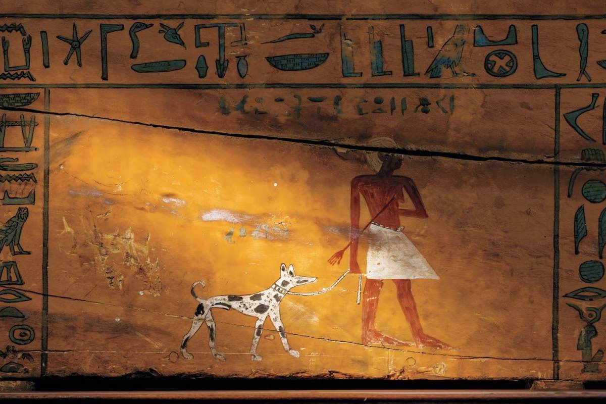 گرگها از کی سگ شدند؟