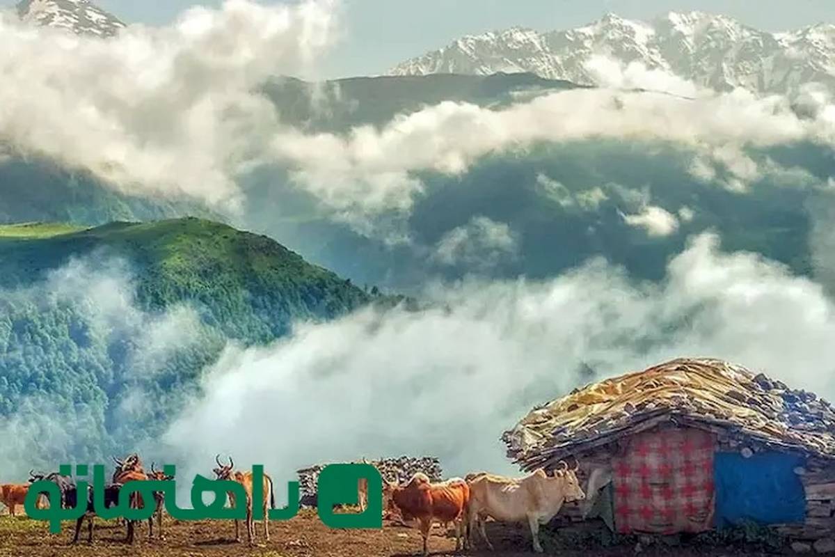 سفر به روستای مازیچال؛ مسیری که به سوی بهشت می‌پیچد
