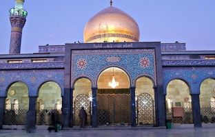  درخواست کندن و انتقال حرم حضرت زینب به ایران! + ویدئو