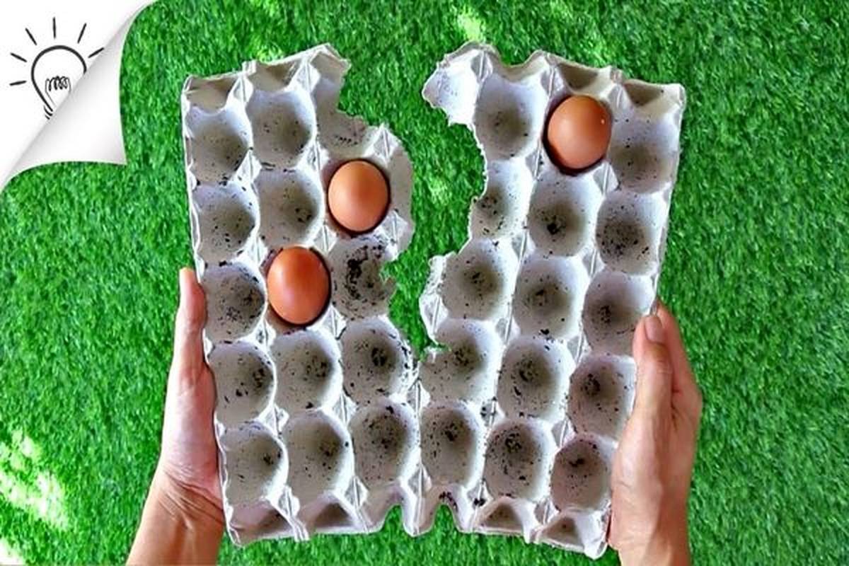 8 ایده فوق العاده برای استفاده مجدد از شانه تخم مرغ + ویدئو