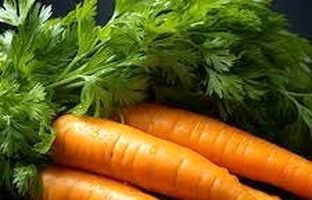 آیا هویج می‌تواند به درمان دیابت کمک کند؟