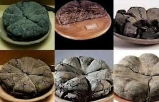کشف نان‌های ۲۰۰۰ ساله در پمپیی؛ شواهدی از زندگی روزمره در آستانه فاجعه آتشفشانی + ویدئو