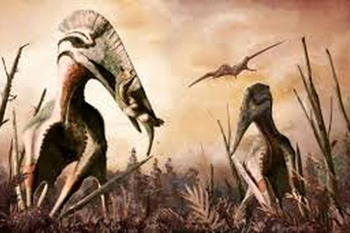 گونهای جدید از خزندگان پرنده منقرضشده در رومانی/ کشف فسیلهای ۶۸ میلیون ساله