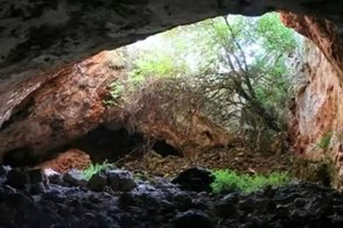  بقایای «کرگدن ماقبل تاریخ» از یک غار در کرمانشاه بیرون آمد 