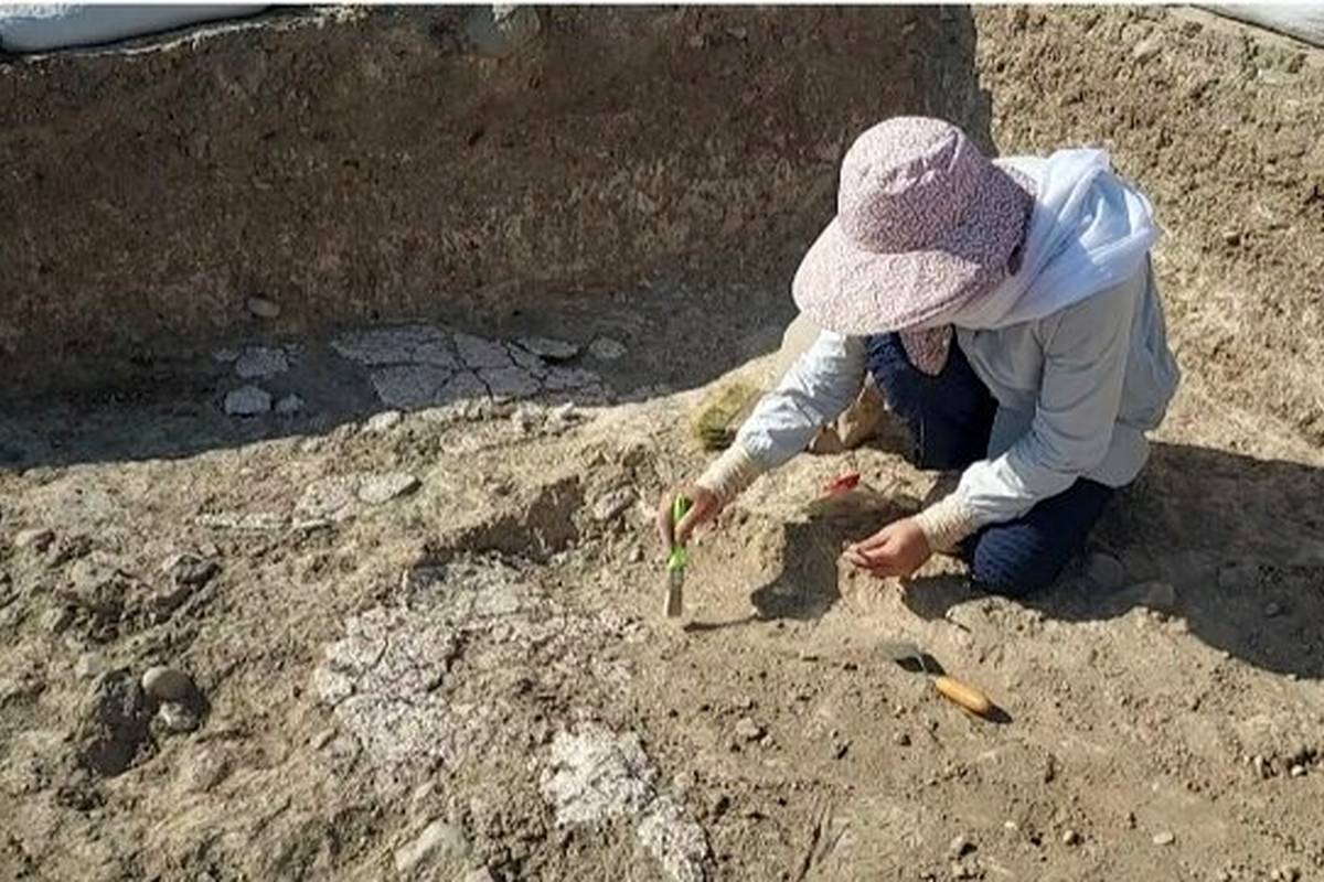 کشف شواهدی از پخت اولیه گچ در غرب ایران