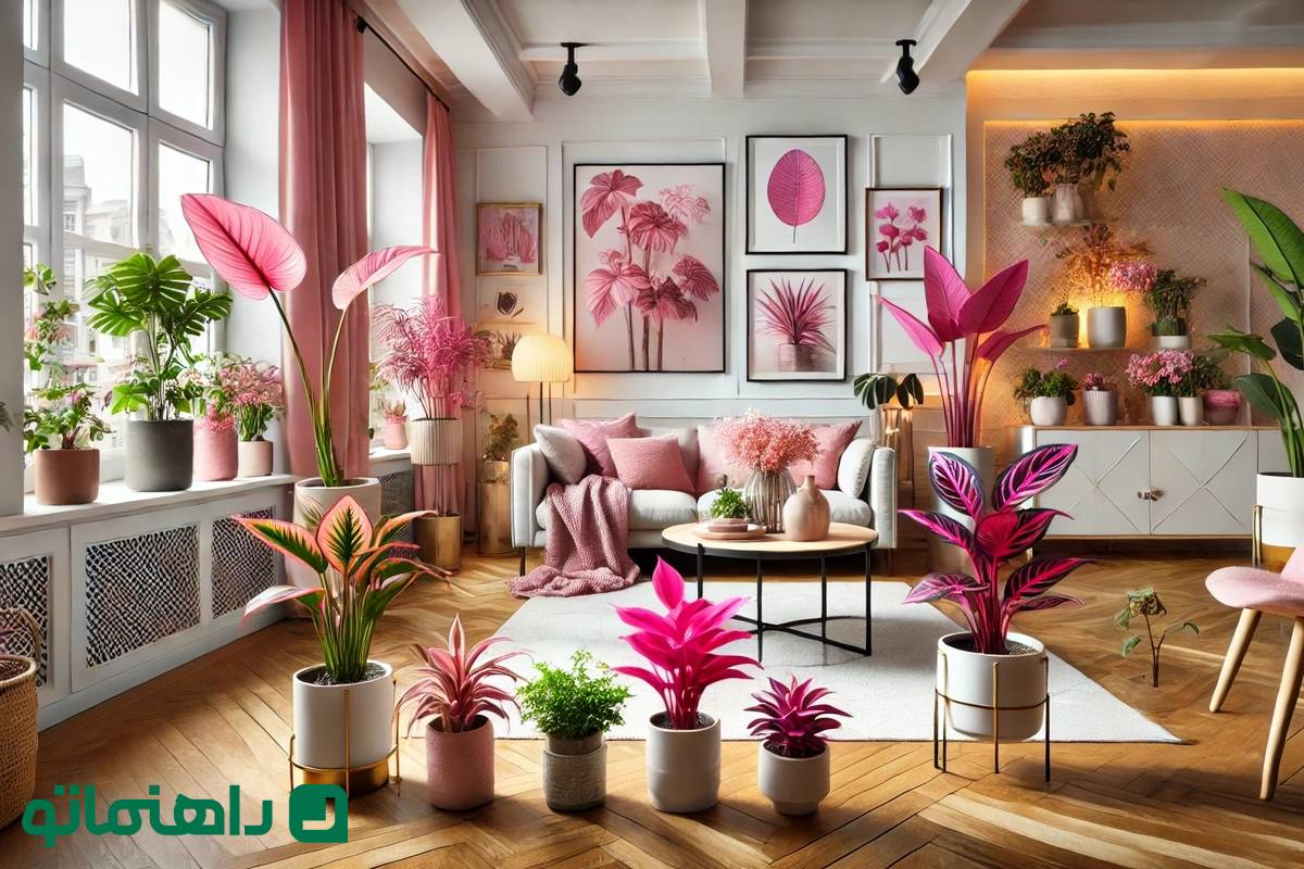 زیباترین گیاهان آپارتمانی با برگ های صورتی