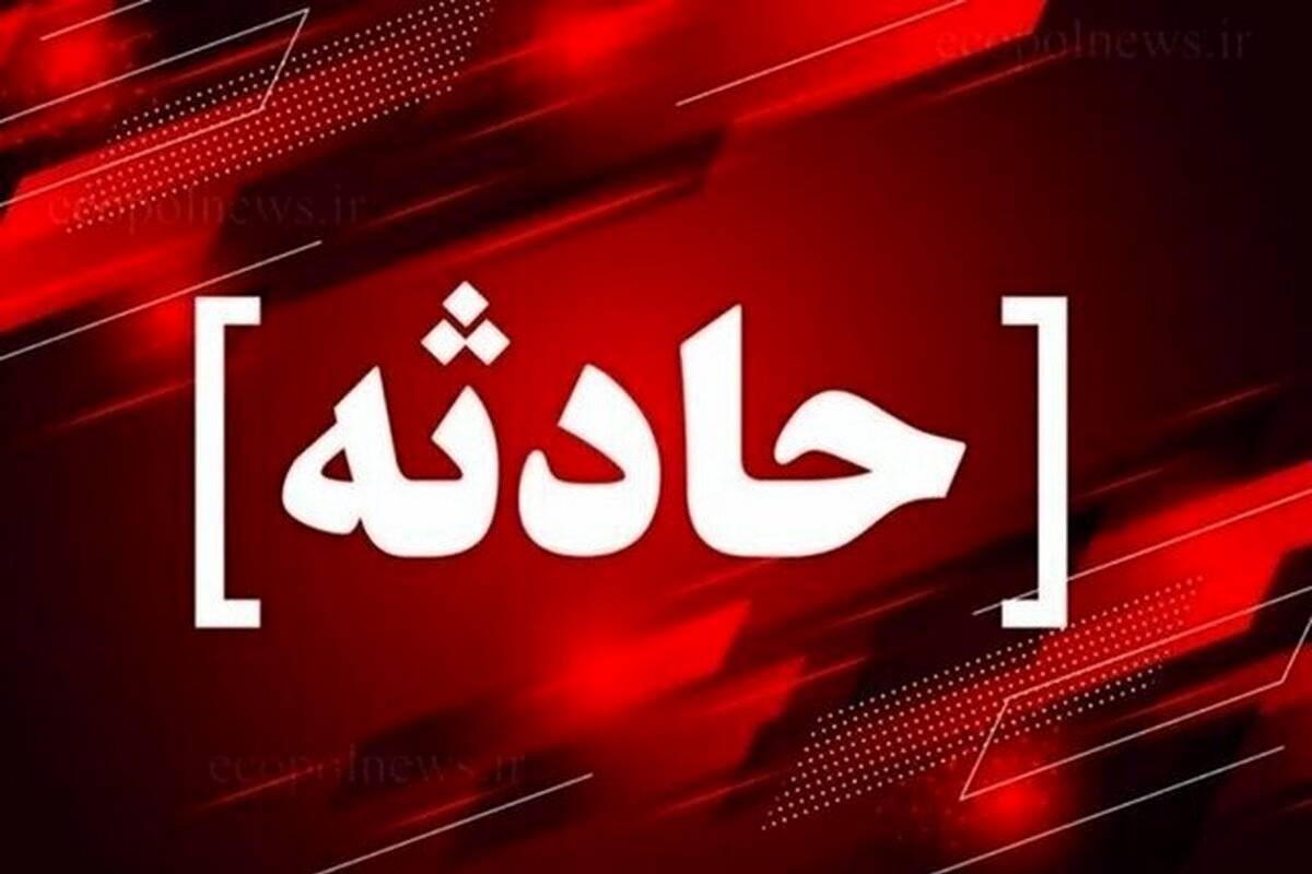 «تام» با خالکوبی گربه معروف؛ سارق ناشیای که همیشه گیر میافتد