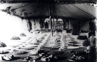 مخلفات آش همایونی در ییلاق سرخه حصار سال 1273 خورشیدی