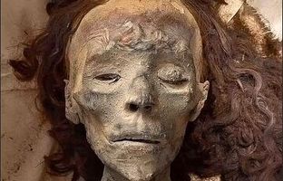 چهره ملکه تی بازسازی شد / مادربزرگ فرعون بزرگ