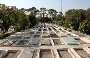  جست و جوی گنج در بهشت زهرا؛ گفتند از دوران پهلوی دفن شده است + ویدئو