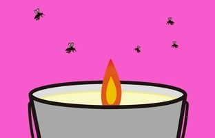 (ویدئو) نحوه ساخت یک شمع متفاوت برای دور کردن پشه ها