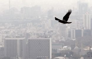 شاخص آلودگی هوای تهران؛ ۱۲ دی
