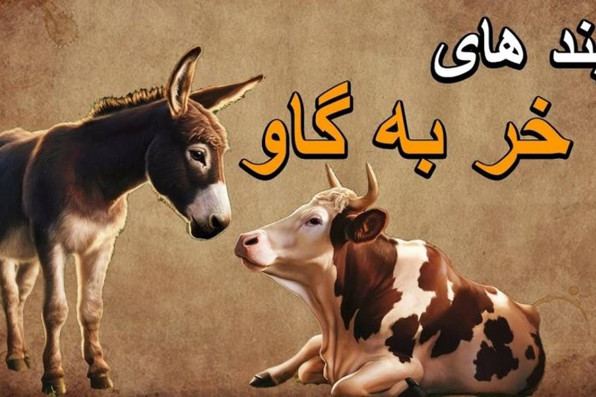 حکایت نصحیت خرکی/ نونت نبود، آبت نبود، نصیحت کردنت چی بود؟