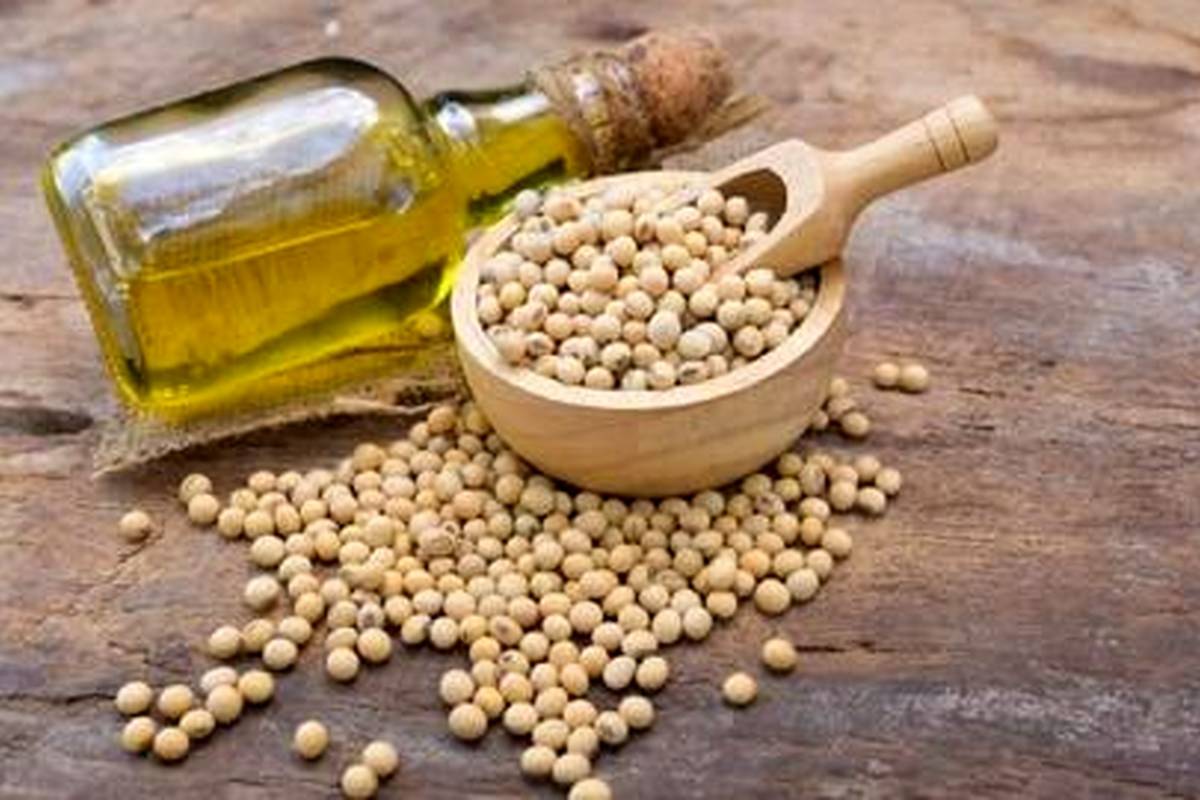 روغن سویا؛ خواص، مضرات و مقایسه آن با روغنهای دیگر
