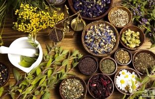 شکست خستگی با ۱۰ گیاه دارویی؛ راهی ساده برای بالا بردن انرژی