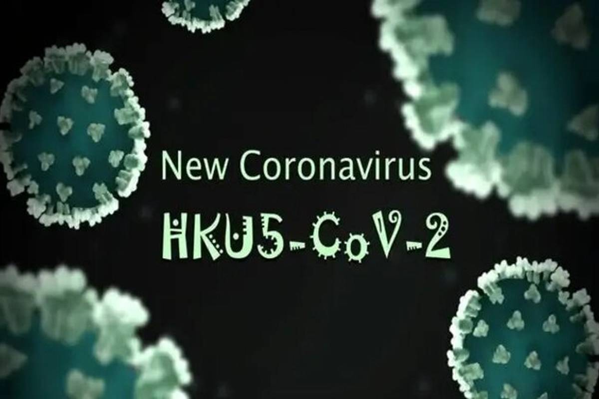 فقط یک جهش کوچک تا «اپیدمی»؛ کروناویروسِ HKU۵-CoV۲ در کمین/ باز هم پای خفاش‌ها در میان است؟