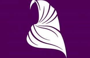 واکنش تازه دولت به ابهامات قانون عفاف و حجاب + ویدئو