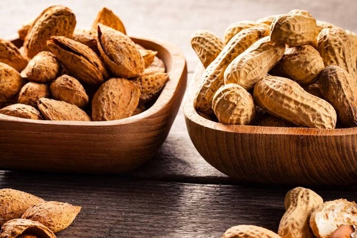 بادام یا بادام زمینی، کدامیک مغذی‌ترند