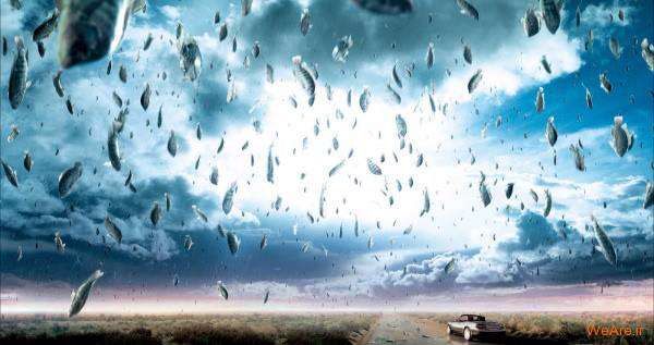 بارش ماهی از آسمان را ببینید! +ویدئو