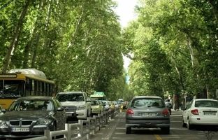 وقتی خیابان ولیعصر سنگفرش بود، سال 1315 + عکس