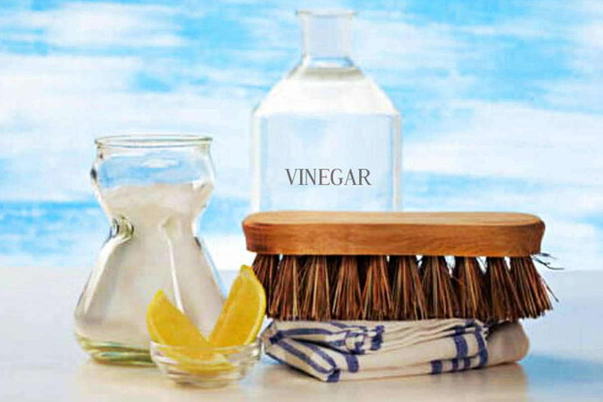 خانهتکانی با مواد طبیعی و ارگانیک/ اگر به شویندههای شیمیایی حساسیت دارید...