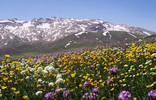 پاییز زودرس در بهشت کردستان: روستاهایی که شهریور ماه رنگ عوض می‌کنند
