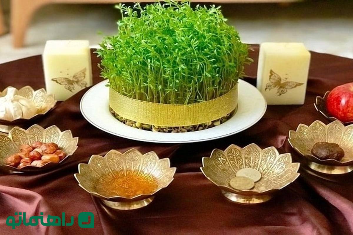 راهنمای کاشت انواع سبزه برای سفره عید + سریع ترین سبزه عید