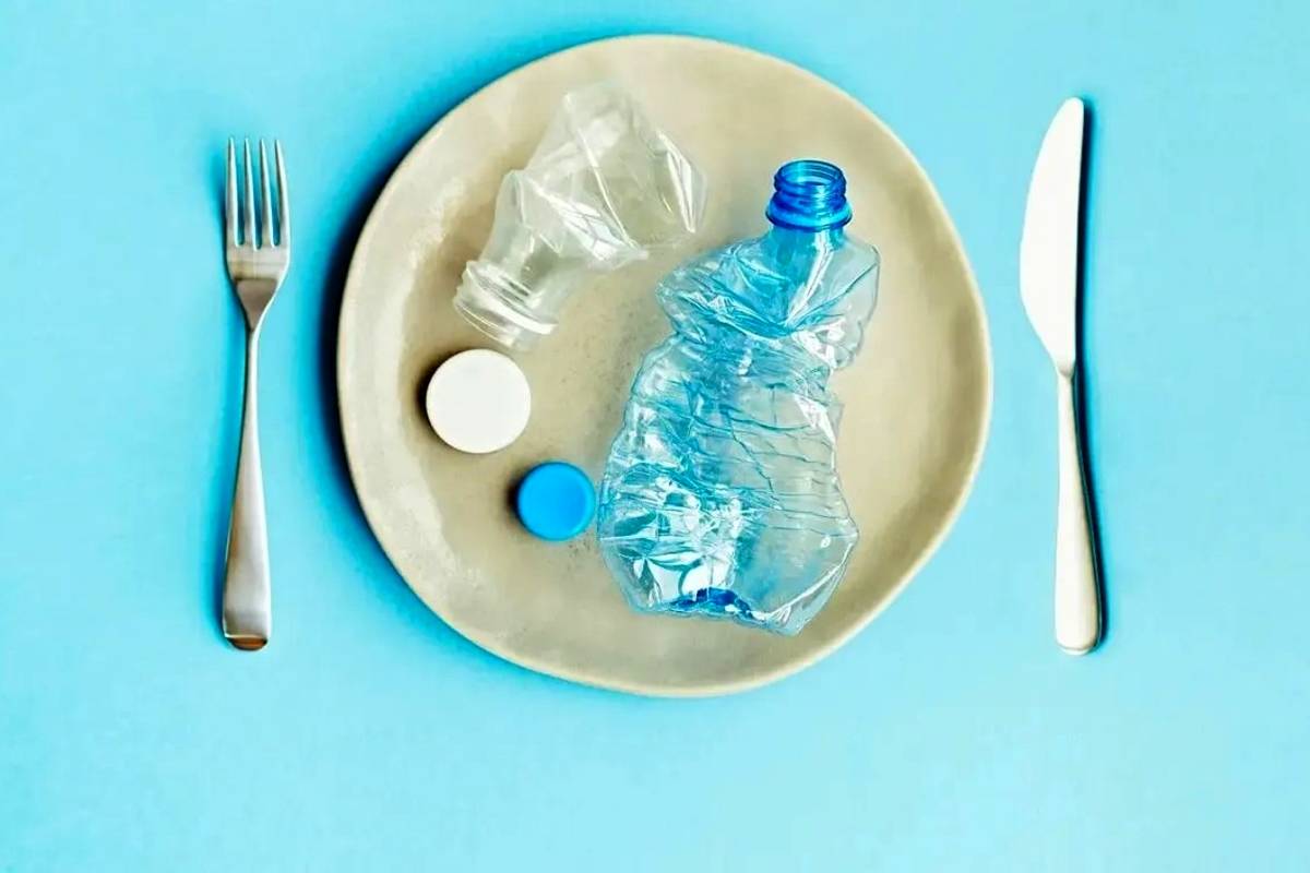 ماهانه چه مقدار پلاستیک می‌خوریم؟