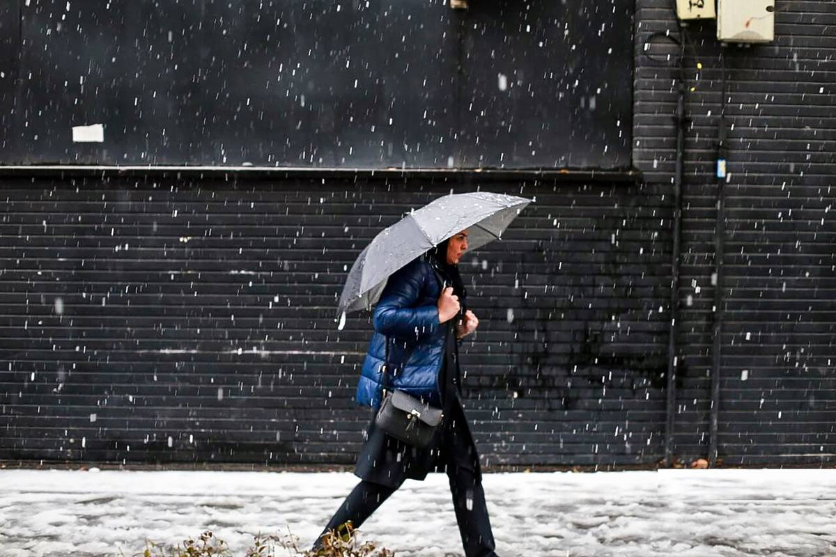 بارش برف بهاری؛ وضعیت آب و هوا امروز یکشنبه 24 فروردین 1404/ پیش بینی وضعیت هوا فردا دوشنبه 25 فروردین