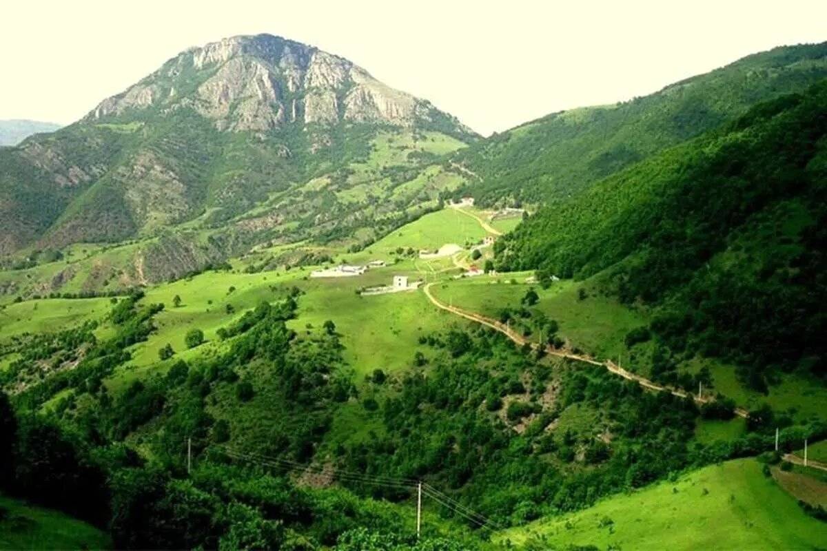 راهنمای سفر؛ جنگل دیزمار ورزقان ؛ عروس زیبای کوههای آذربایجان
