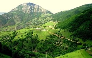 راهنمای سفر؛ جنگل دیزمار ورزقان ؛ عروس زیبای کوه‌های آذربایجان