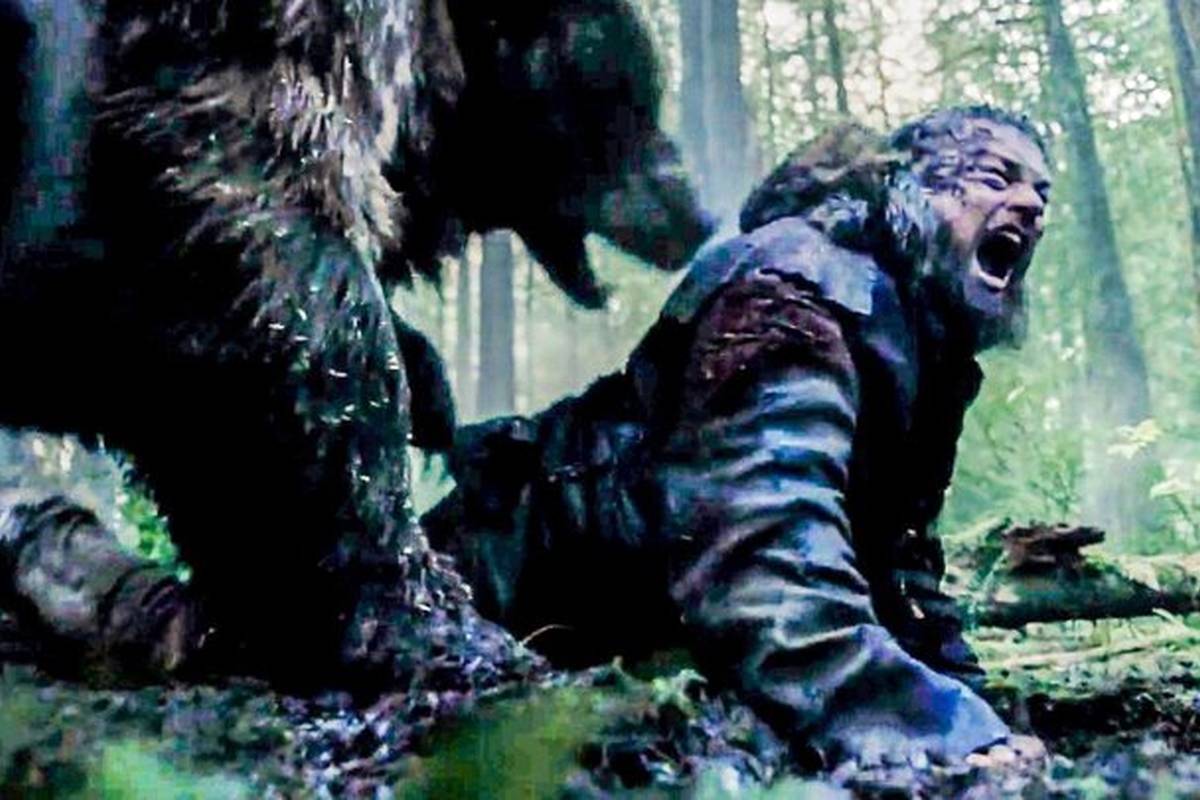 چرا حیوانات وحشی به انسان حمله میکنند؟