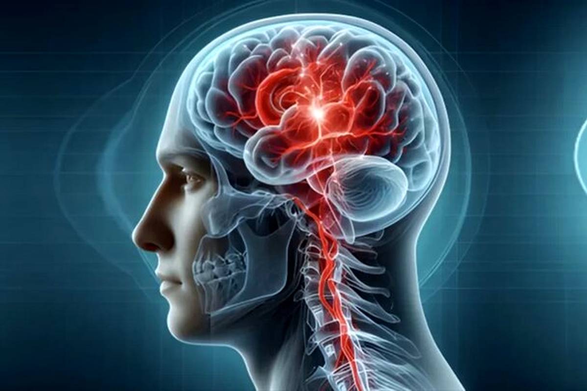 چرا انسان دیر بالغ میشود؟