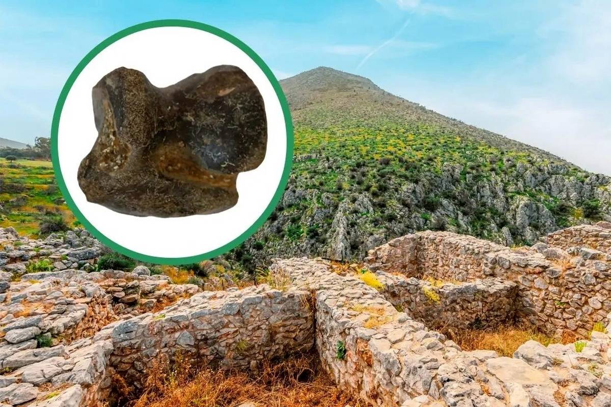چرا یونانیان باستان به دنبال «فسیل» میگشتند؟