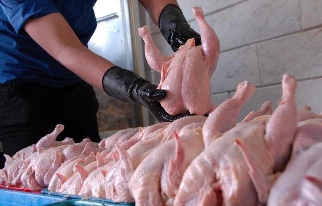 راهنمای بازار؛ قیمت گوشت مرغ، امروز ۷ خرداد ۱۴۰۴
