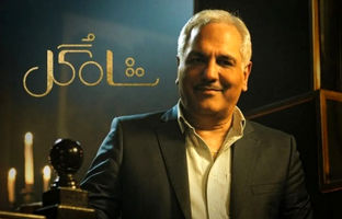 رئالیتی‌شوهای جدید شبکه نمایش خانگی؛ از «شفرونی» و «شاه‌گل» تا «کافه ژوله»