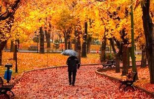 چند فضای شهری دل‌انگیز تهران برای تفریح در روزهای بارانی