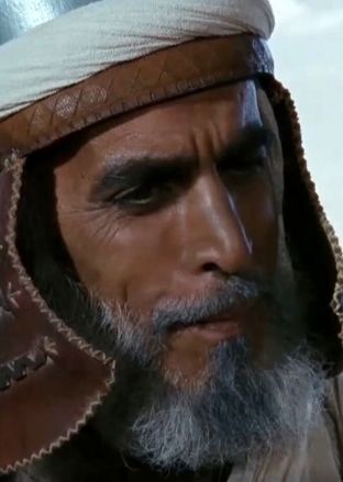 «مُسَیب بن نجبه» سریال مختار در آلمان در 74 سالگی