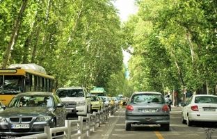 عکس قدیمی: ظاهر چنارها، عابران، خودروها و خیابان ولیعصر در دهه 40 