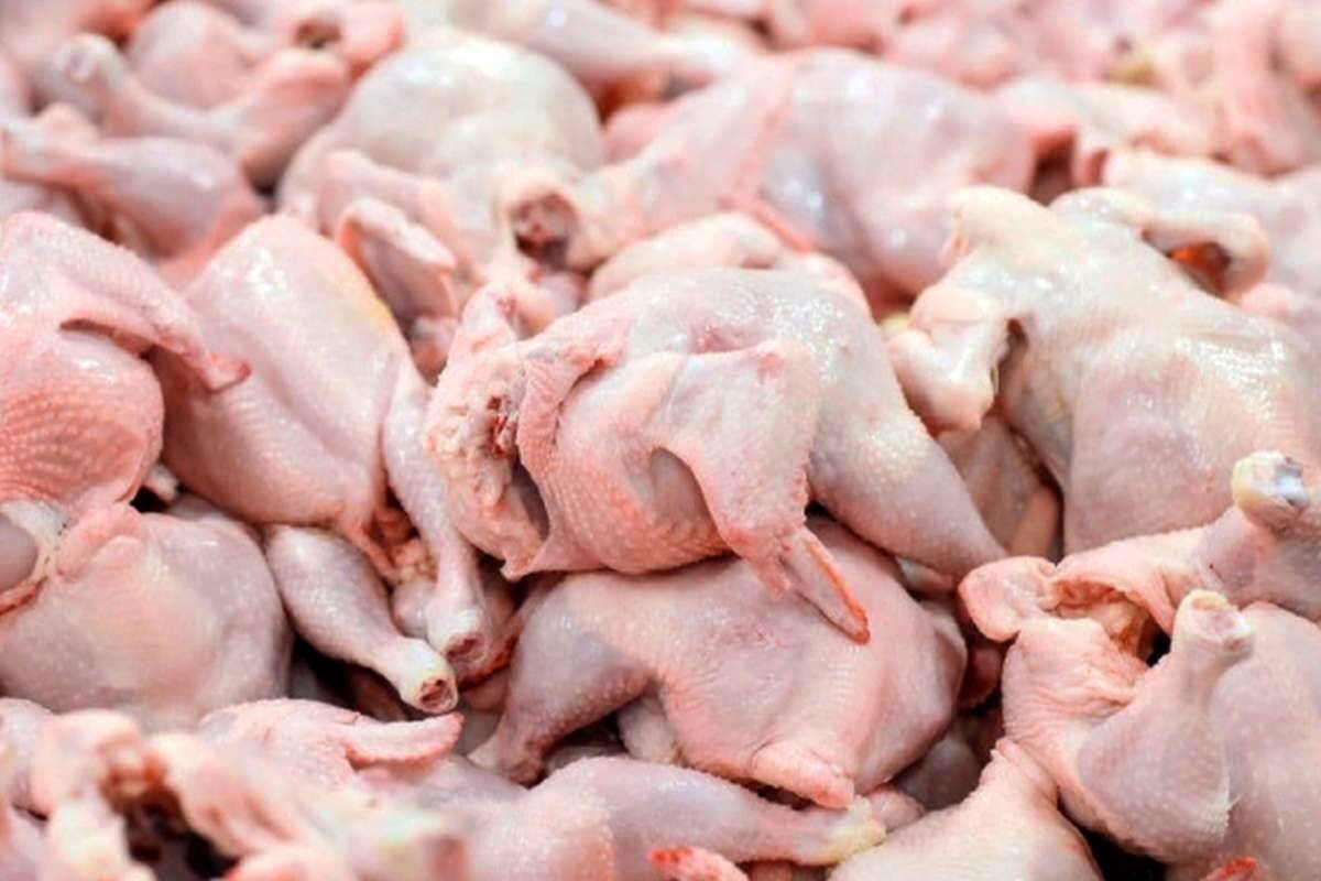 راهنمای بازار؛ گوشت و مرغ در سال ۱۴۰۴ گران میشود؟!