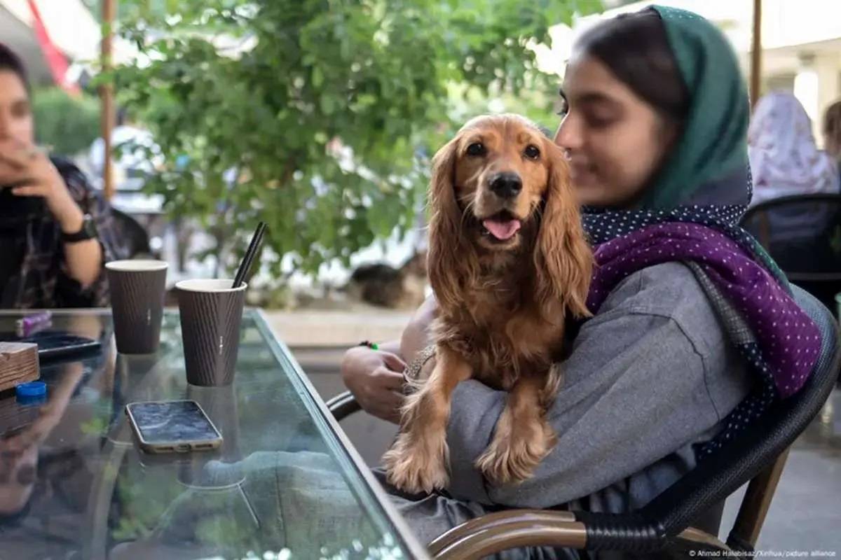 فروش سگ آزاد و بیرون بردن آن ممنوع است؟!