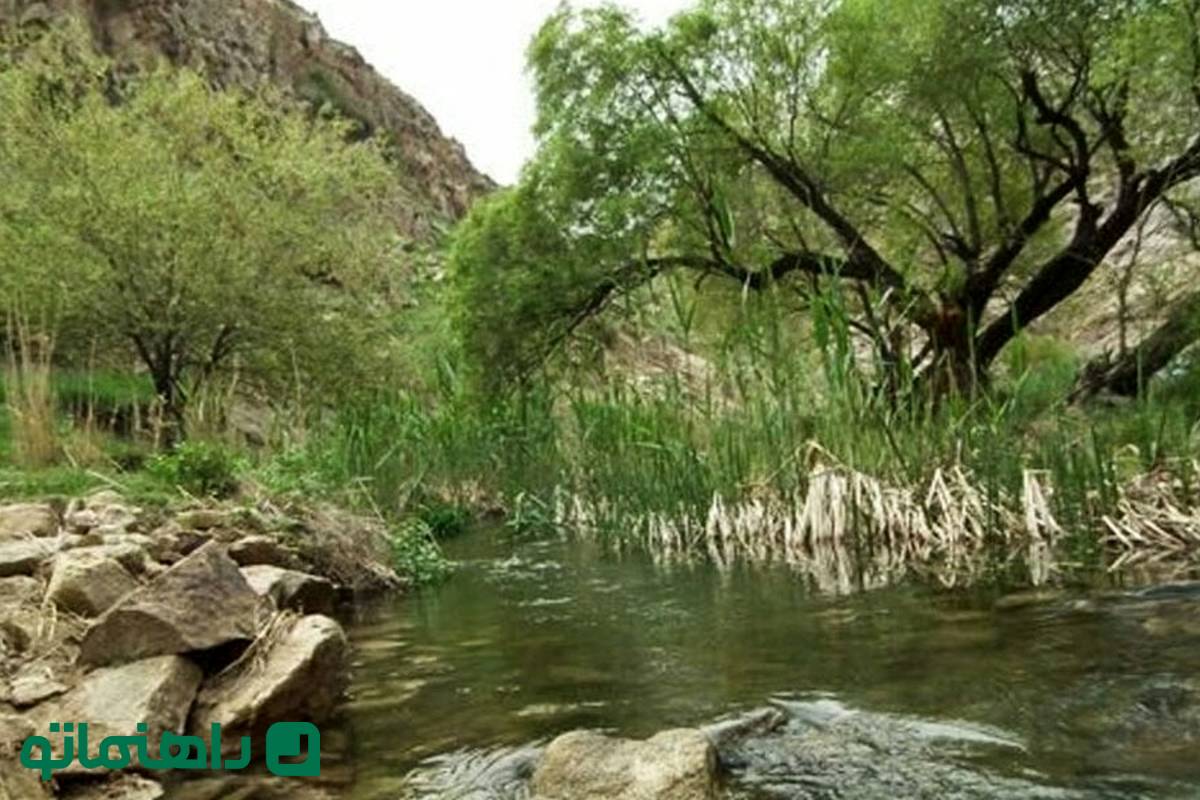 همسفر با بهار به پارک‌های مشهد؛ ۴ پارک جنگلی برای روزهای آخر هفته