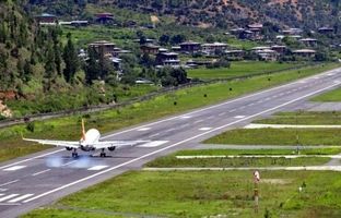 بسته شدن فرودگاهی در ژاپن به خاطر گوزن‌ها + ویدئو