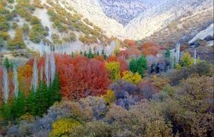 پاییز زودرس در کهگیلویه و بویراحمد: جذابترین آبشارها در نیمه دوم شهریور
