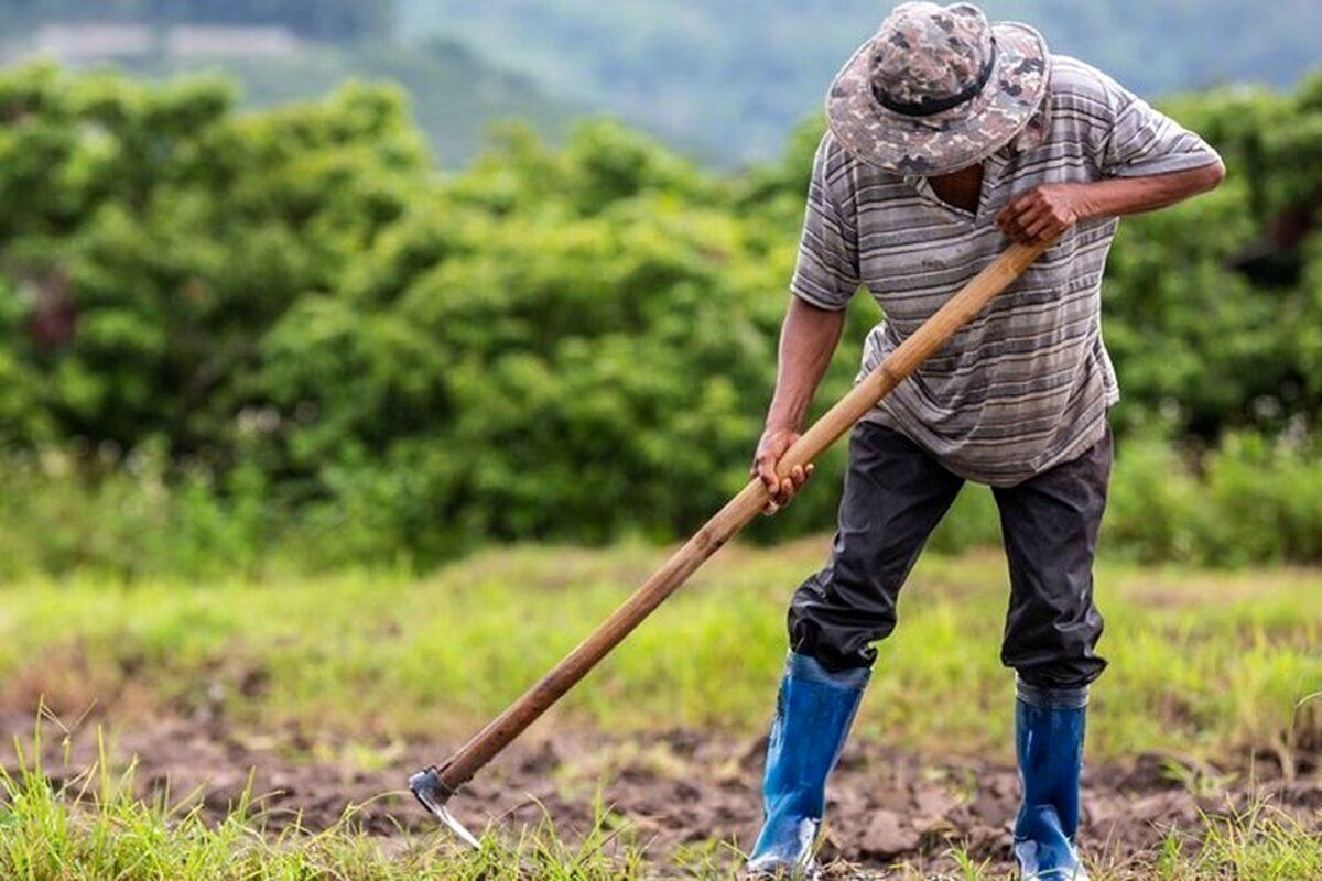 متفاوت‌ترین مزرعه جهان اینجاست؛ وسط یک شهرک مسکونی + عکس