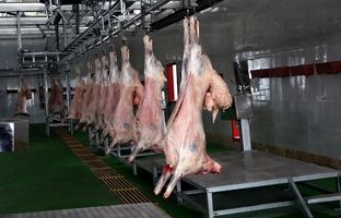 قیمت گوشت قرمز، امروز دوشنبه ۲۹ مرداد ۱۴۰۳